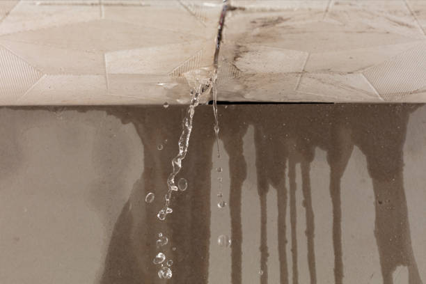 Professional Burst Pipe Cleanup technician working in Davis, NC
